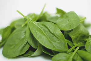 Paano palaguin ang spinach sa isang windowsill