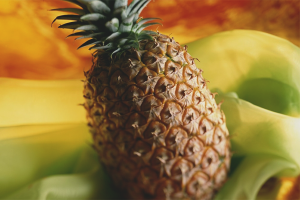 Paano palaguin ang pinya