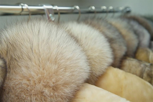 Paano mag-imbak ng mink coat