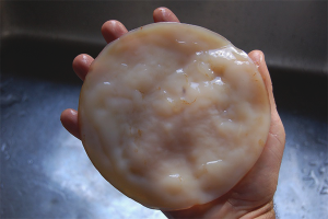Paano palaguin ang Kombucha