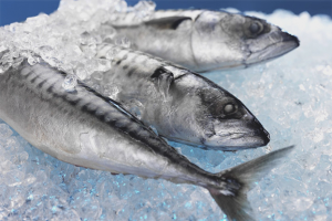 Paano mabilis na mag-defrost ng isang isda