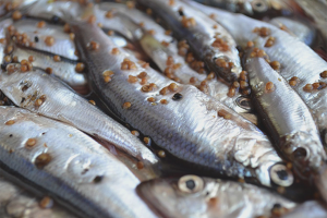 Paano mag-asin ng isang sprat