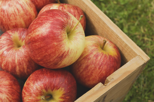 Imbakan ng Apple