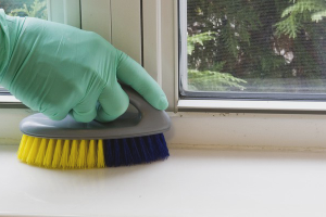 Paano maglinis ng isang plastic windowsill