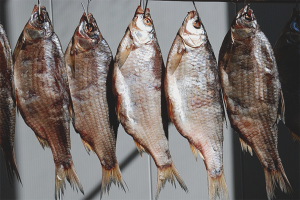 Paano matutuyo ang isda