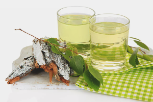 Paano mag-imbak ng birch sap