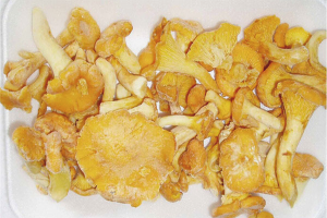 Paano mag-freeze ng chanterelles para sa taglamig
