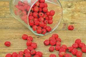 Paano matutuyo ang isang hawthorn