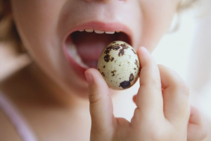 Paano magluto ng mga itlog ng pugo para sa isang bata