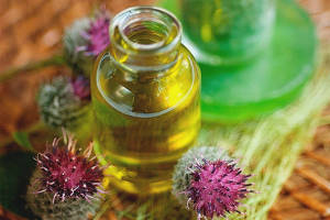 Burdock oil para sa buhok