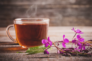 Paano magluto ng ivan tea