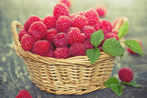Ang mga pakinabang at pinsala ng mga raspberry