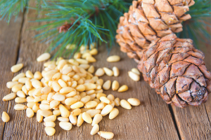 Ang mga benepisyo at pinsala ng mga pine nuts