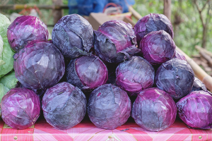 Ang mga benepisyo at pinsala sa pulang repolyo