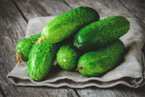 Ang mga benepisyo at pinsala ng mga sariwang mga pipino