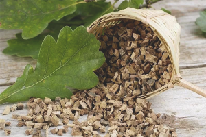 Paano gumawa ng bark ng oak