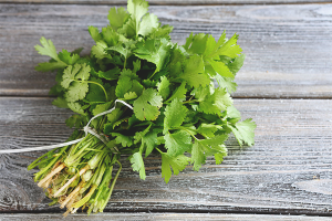 Ang mga benepisyo at pinsala ng cilantro