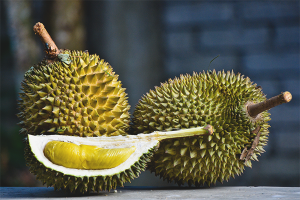 Ang mga benepisyo at pinsala ng durian