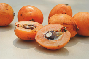 Ang mga pakinabang at pinsala ng medlar