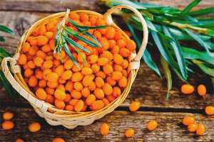 Sea buckthorn para sa buhok