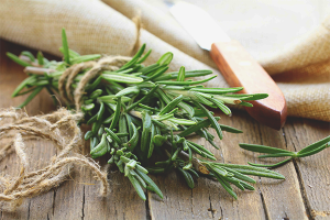 Ang mga benepisyo at pinsala ng rosemary