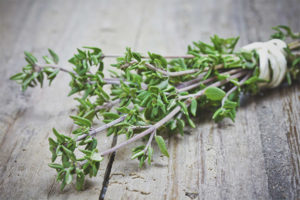 Thyme sa panahon ng pagbubuntis