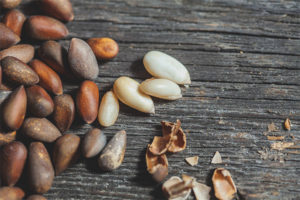 Mga pine nuts sa panahon ng pagbubuntis