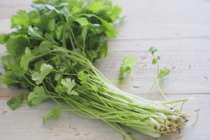 Cilantro sa panahon ng pagbubuntis