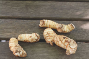 Mga therapeutic properties at contraindications galangal root