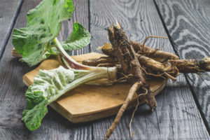 Mga gamot na gamot at contraindications ng burdock root