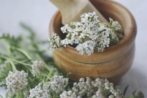 Mga gamot na gamot at contraindications ng yarrow