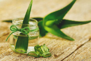 Tincture ng Aloe