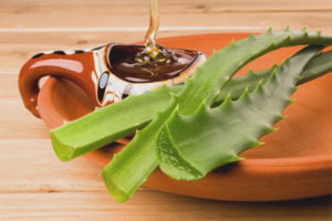 Aloe na may ubo ng pulot