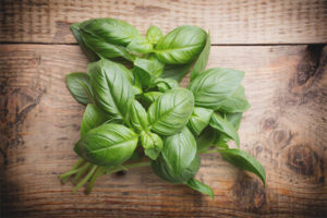Basil sa panahon ng pagbubuntis