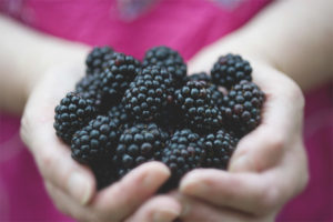 Blackberry sa panahon ng pagbubuntis