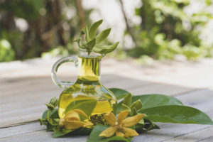 Ylang Ylang Mahahalagang Langis