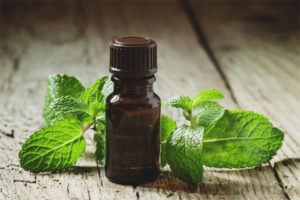 Mahalagang langis ng Peppermint