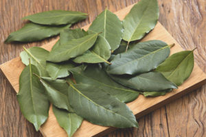 Paano gamitin ang bay leaf para sa pagbaba ng timbang