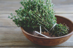 Mga therapeutic properties at contraindications thyme