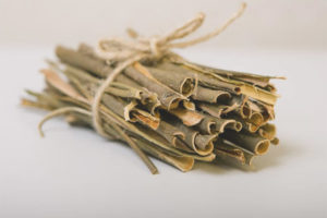 Mga therapeutic na katangian at contraindications ng aspen bark