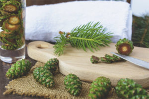 Mga therapeutic properties at contraindications ng pine cones