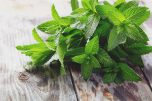 Mint sa panahon ng pagbubuntis