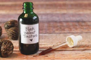 Itim na Walnut Tincture