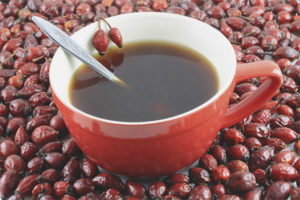 Rosehip decoction sa panahon ng pagbubuntis