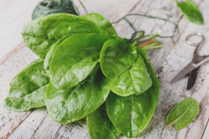 Sorrel sa panahon ng pagbubuntis