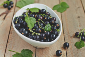 Blackcurrant para sa pagpapasuso