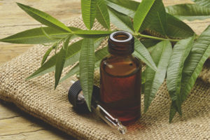 Mahalagang langis ng Tea Tree