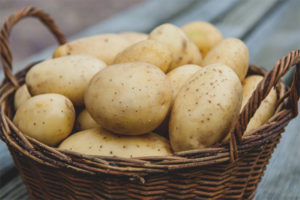 Pagpapasuso ng Potato