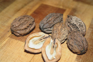 Mga gamot na gamot at aplikasyon ng Manchurian walnut