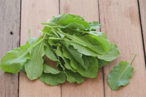 Sorrel para sa pagpapasuso